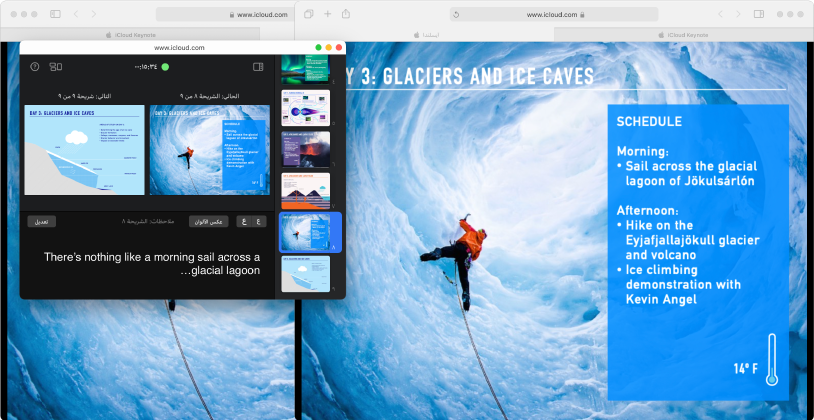 تفتح نافذة عرض شرائح العرض التقديمي على أول شريحة بعنوان السلاحف البحرية. تفتح شاشة مقدم العرض في نافذة منفصلة، مع عرض متصفح الشرائح والشرائح الحالية والتالية وملاحظات مقدم العرض.