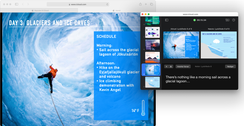 Vinduet med lysbilledshowet i præsentationen er åbent med det første lysbillede, kaldet Sea Turtles. Præsentationsskærmen er åben i et separat vindue, der viser lysbillednavigator, aktuelt og næste lysbillede samt præsentationsnoter.
