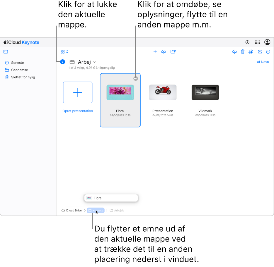 Dokumentadministrationen i oversigten til gennemsyn, hvor en præsentation trækkes til en ny placering (mappen Keynote) nederst i vinduet. Under værktøjslinjen vises knappen Tilbage til venstre for det aktuelle mappenavn (Arbejde).