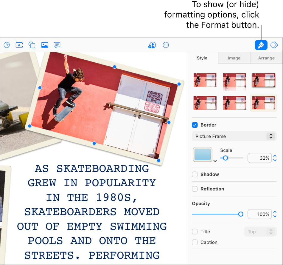 An image in a presentation is selected, and controls to change its appearance (for example, border and shadow checkboxes) show in the sidebar on the right.