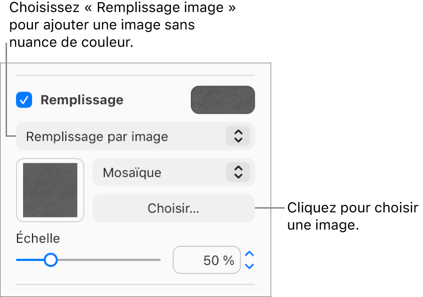 La case Remplissage est cochée dans la barre latérale et l’option Remplissage image est sélectionnée dans le menu local situé sous la case à cocher. Les commandes permettant de choisir l’image, la façon dont elle remplit l’objet et l’échelle de l’image s’affichent sous le menu local. Un aperçu du remplissage de l’image apparaît dans un carré une fois qu’une image est choisie.