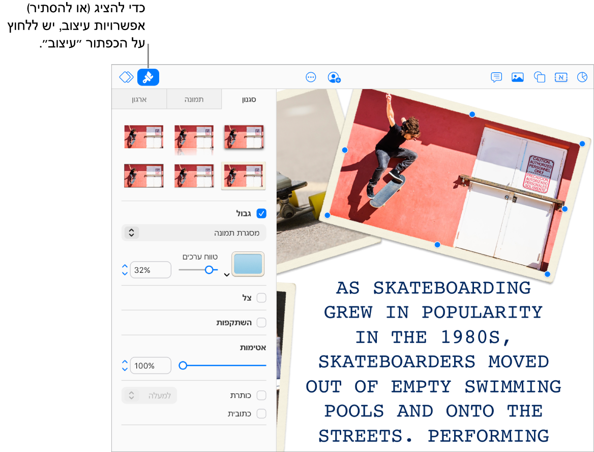 נבחרת תמונה במצגת ופקדים המשמשים לשינוי המראה שלה (לדוגמה, תיבות סימון של גבולות וצללים) מופיעים בסרגל הצד משמאל.