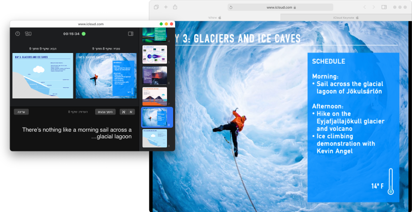 חלון המצגת פתוח ורואים את השקף הראשון שנקרא Sea Turtles. הצג של המציג/ה פתוח בחלון נפרד עם נווט השקפים, השקף הנוכחי והבא, והערות המציג/ה.