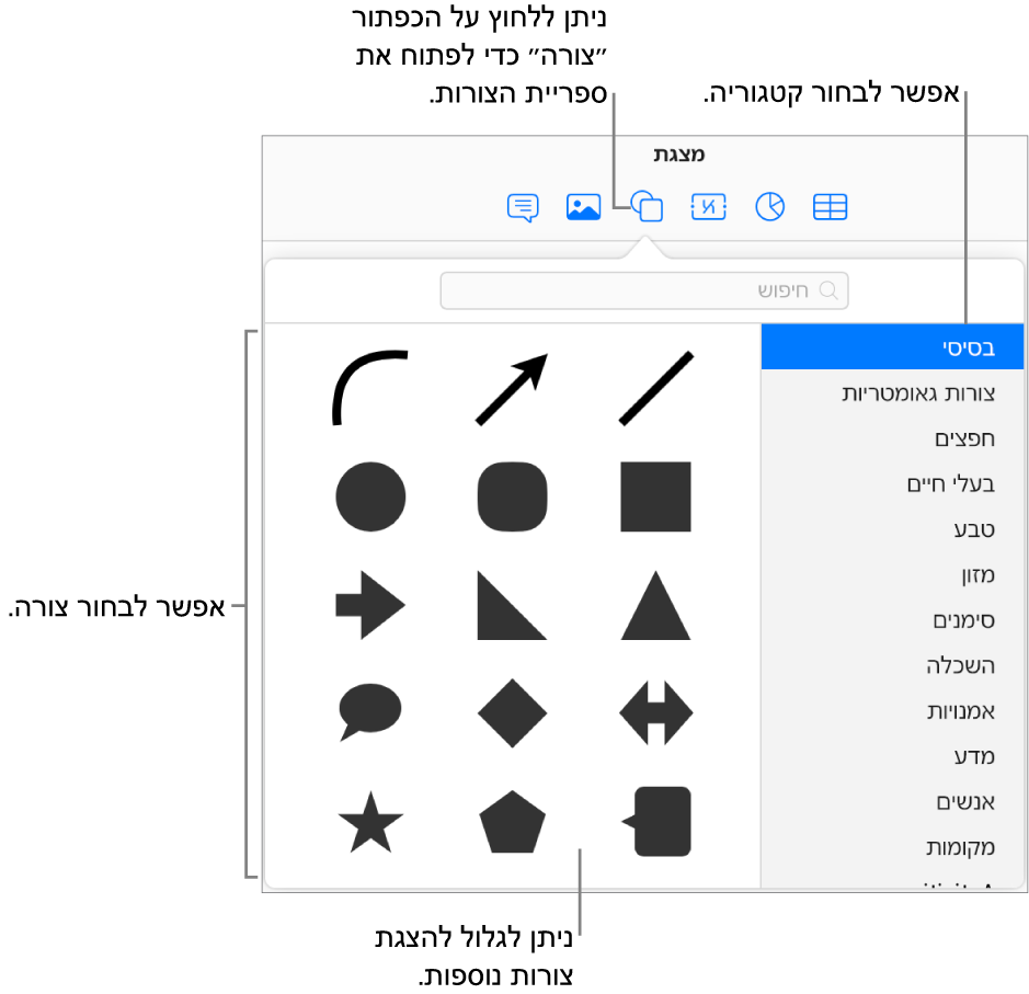 ספריית הצורות נפתחת מתחת לכפתור הצורות שבסרגל הכלים. הקטגוריה ״בסיסי״ מסומנת לבחירה מצד ימין וכמה צורות נפוצות (כולל עיגולים, ריבועים וקווים) מוצגות מצד שמאל.