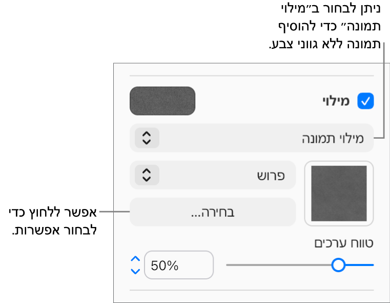 תיבת הסימון ״מילוי״ נבחרת בסרגל הצד והאפשרות ״מילוי תמונה״ נבחרת בתפריט הקופץ מתחת לתיבת הסימון. מתחת לתפריט הקופץ מוצגים פקדים לבחירת התמונה, קנה המידה שלה והאופן שבו היא תמלא את האובייקט. תצוגה מקדימה של מילוי התמונה מופיעה בריבוע (לאחר שבוחרים תמונה).