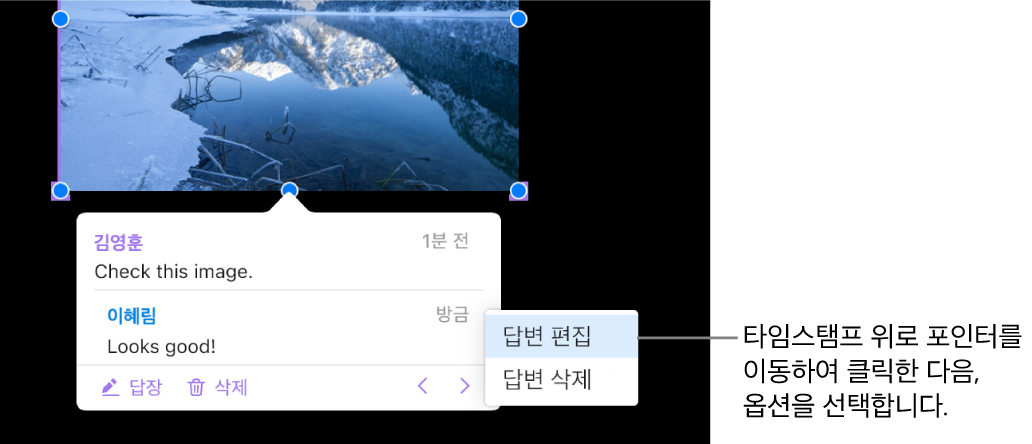답글이 달린 주석 및 답글 편집을 위해 타임 스탬프 위에 있는 포인터: 팝업 메뉴에 두 가지 옵션이 나타납니다. 답글 편집 및 답글 삭제.