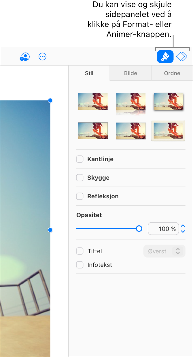 Format-knappen er valgt på verktøylinjen, og kontroller for stil, skygge og annen formatering vises i sidepanelet til høyre for lysbildet.