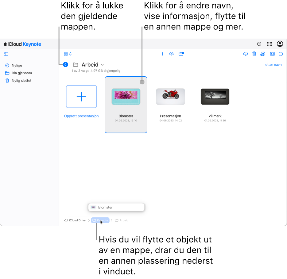 Dokumentorganisereren i navigeringsvisning, som viser en presentasjon som flyttes til en ny plassering (Keynote-mappen) nederst i vinduet. Under verktøylinjen vises Tilbake-knappen til venstre for navnet på gjeldende mappe (Work).