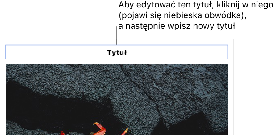Nad zdjęciem jest wyświetlany tytuł zastępczy „Tytuł”; niebieski kontur wokół pola tytułu wskazuje, że pole jest zaznaczone.