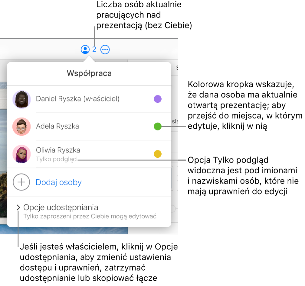 Otwarte menu Współpraca z listą trzech uczestników (z których jeden ma uprawnienia dostępu Tylko podgląd), opcją Dodaj osoby i sekcją Opcje udostępniania.