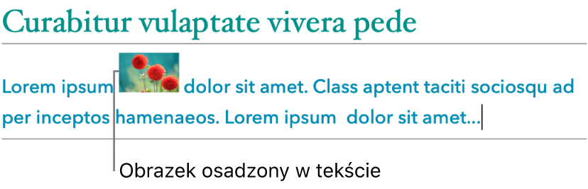 Obrazek osadzony w tekście.