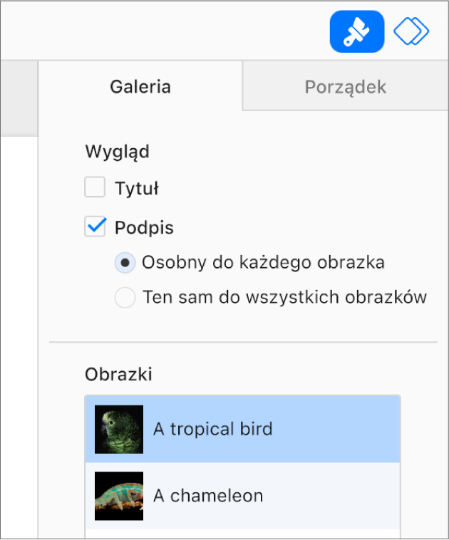 Menu podręczne Galeria na pasku bocznym Format. Zaznaczone jest pole wyboru Podpisy i dostępne są opcje osobnych podpisów dla każdego obrazka lub tego samego podpisu dla wszystkich obrazków. Poniżej narzędzi znajdują się miniaturki każdego obrazka z podpisem po prawej stronie.