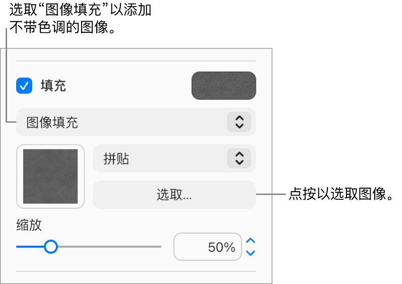 已选中边栏中的“填充”复选框，且在复选框下方的弹出式菜单中选取了“图像填充”。用于选取图像、对象填充方式以及图像比例的控制显示在该弹出式菜单的下方。图像填充的预览出现在方框中（当图像被选中后）。