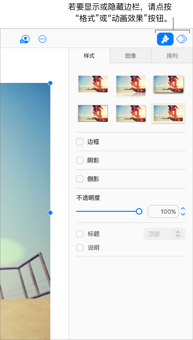 已选中边栏中的格式按钮，样式、阴影和其他格式控制项在幻灯片右侧的边栏中显示。