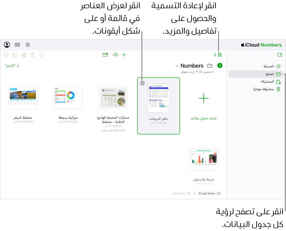 مدير المستندات في طريقة عرض التصفح. يظهر زر المزيد (ثلاث نقاط) في الزاوية العلوية اليسرى من جدول البيانات المحدد. تظهر قائمة منبثقة أعلى جداول البيانات على الجانب الأيمن من شريط الأدوات يمكنك أن تختار منها عرض العناصر كأيقونات أو في قائمة، وتظهر أزرار في منتصف شريط الأدوات لإنشاء جدول بيانات أو تحميله، وإنشاء مجلد جديد. تظهر أزرار في الجانب الأيسر لشريط الأدوات للتنزيل أو التعاون أو إرسال بريد إلكتروني أو الحذف.