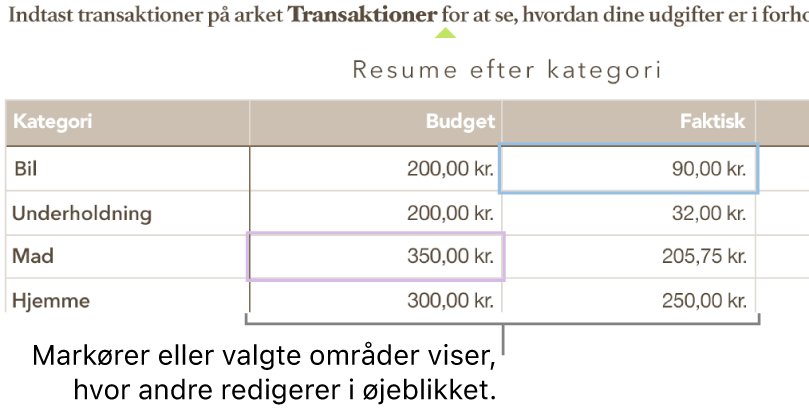 Markører og tabelcellevalg i forskellige farver, der viser, hvor andre personer redigerer i et delt regneark.