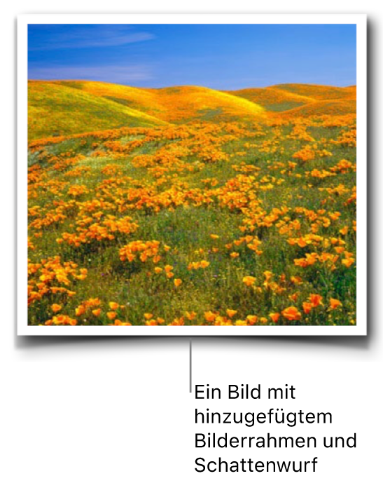 Ein Bild mit einem Bilderrahmen und Schattenwurf wird hinzugefügt.