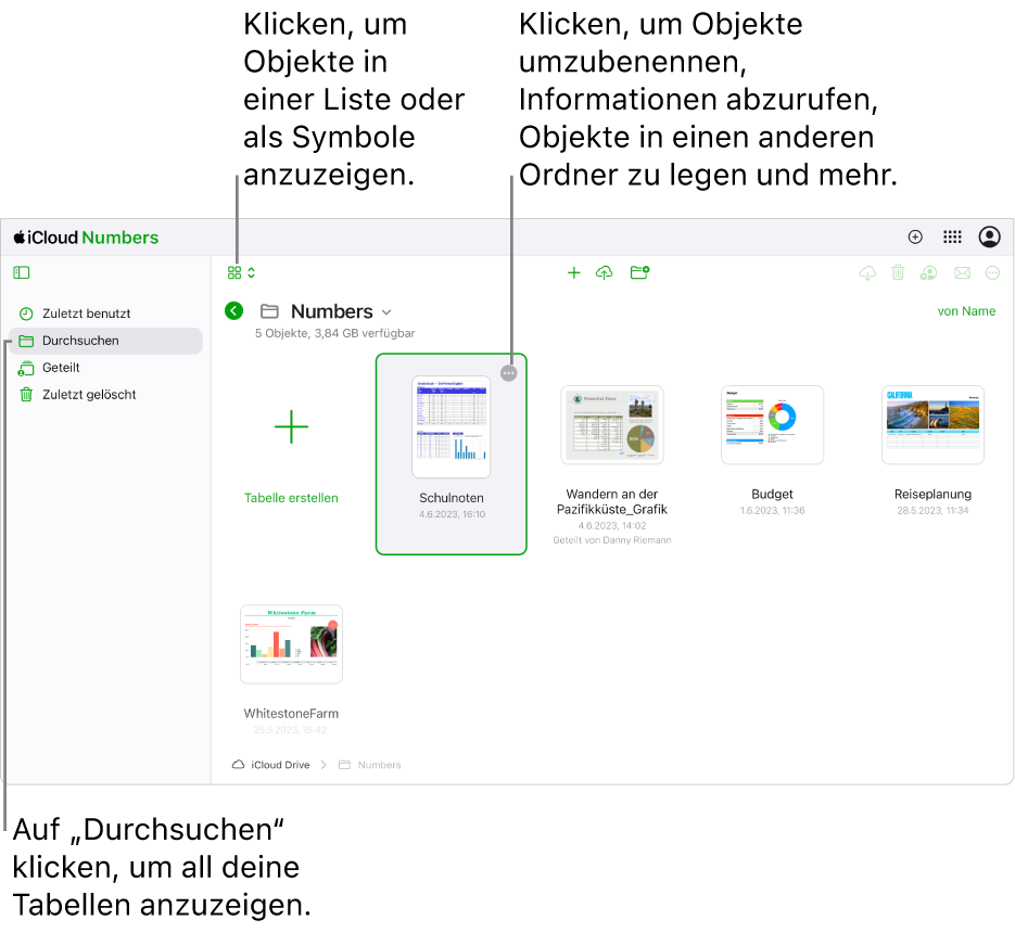 Der Dokumentenmanager in der Darstellung zum Durchsuchen zeigt Numbers-Dokumente als Symbole auf einem Raster an. Die Taste „Mehr“ (drei Punkte) ist in der oberen rechten Ecke der ausgewählten Tabellenkalkulation sichtbar. Über den Tabellenkalkulationen befindet sich auf der linken Seite der Symbolleiste ein Einblendmenü, aus dem du wählen kannst, ob Objekte als Symbole oder in einer Liste angezeigt werden sollen. Auf der rechten Seite der Symbolleiste befinden sich Tasten zum Herunterladen, Zusammenarbeiten, Mailen oder Löschen.
