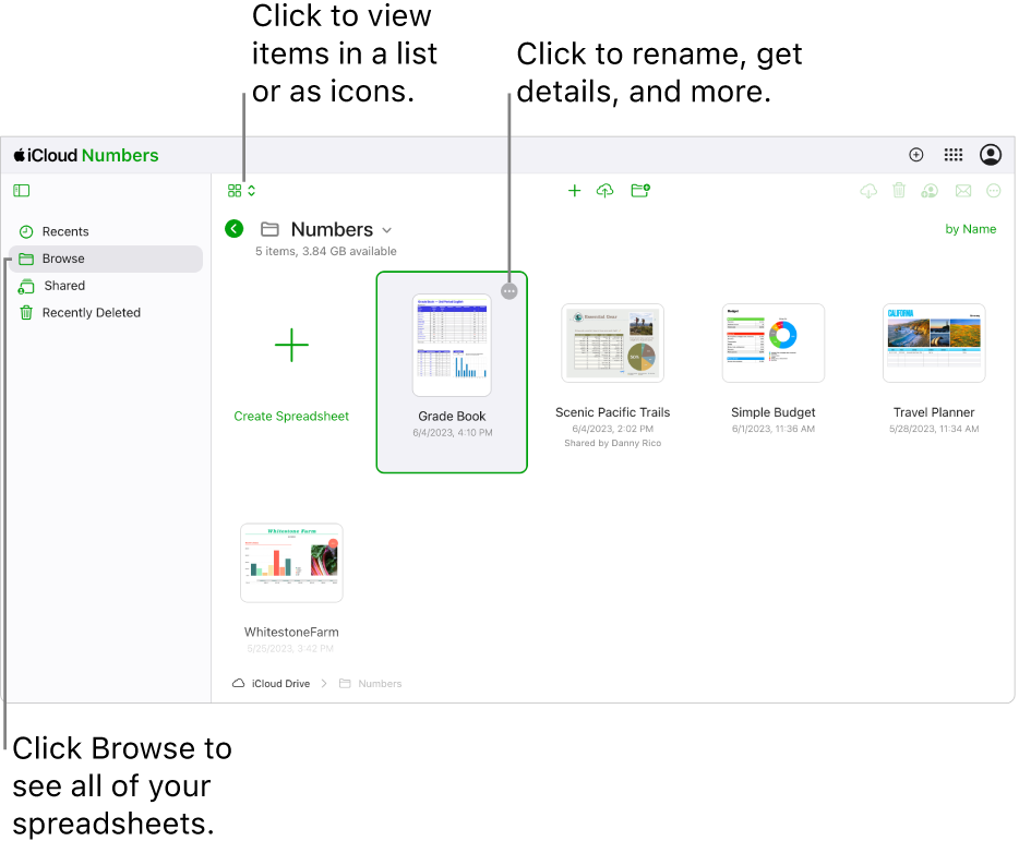 The document manager in browse view, showing Numbers documents as icons in a grid. The More button (three dots) is visible in the upper-right corner of the selected spreadsheet. Above the spreadsheets, the left side of the toolbar has a pop-up menu where you can choose to view items as icons or in a list. On the right side of the toolbar are buttons to download, collaborate, email, or delete.