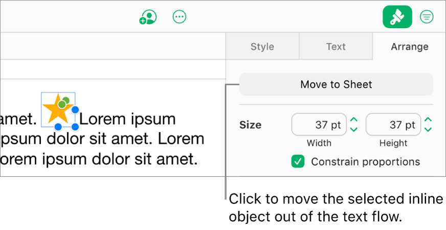 An inline image inside a text box is selected, and a Move to Sheet button is visible in the Arrange tab in the sidebar.