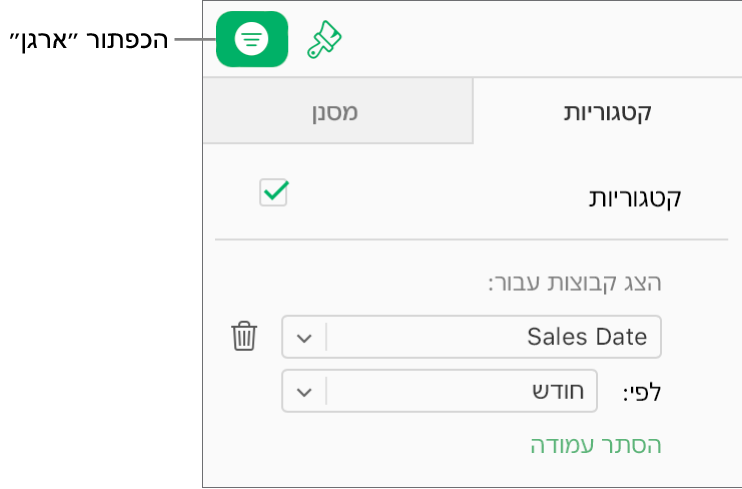 הכפתור ״ארגן״ נבחר בסרגל הכלים, והכללים שמתארים קטגוריה מופיעים בלשונית ״קטגוריות״ בסרגל הצד ״ארגן״. הנתונים מאורגנים כרגע לפי ״תאריך המכירה״ ואחר כך מקובצים לפי חודש.