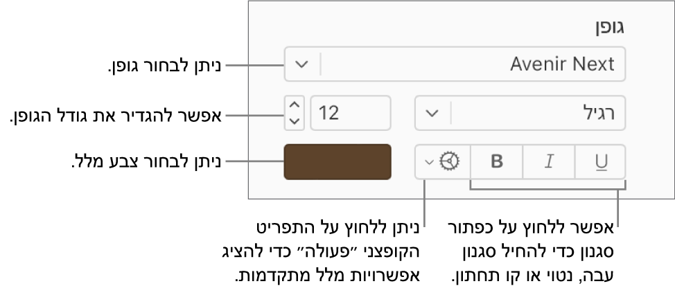 פקדי הגופן וסגנון הטקסט בסרגל הצד ״עיצוב״.