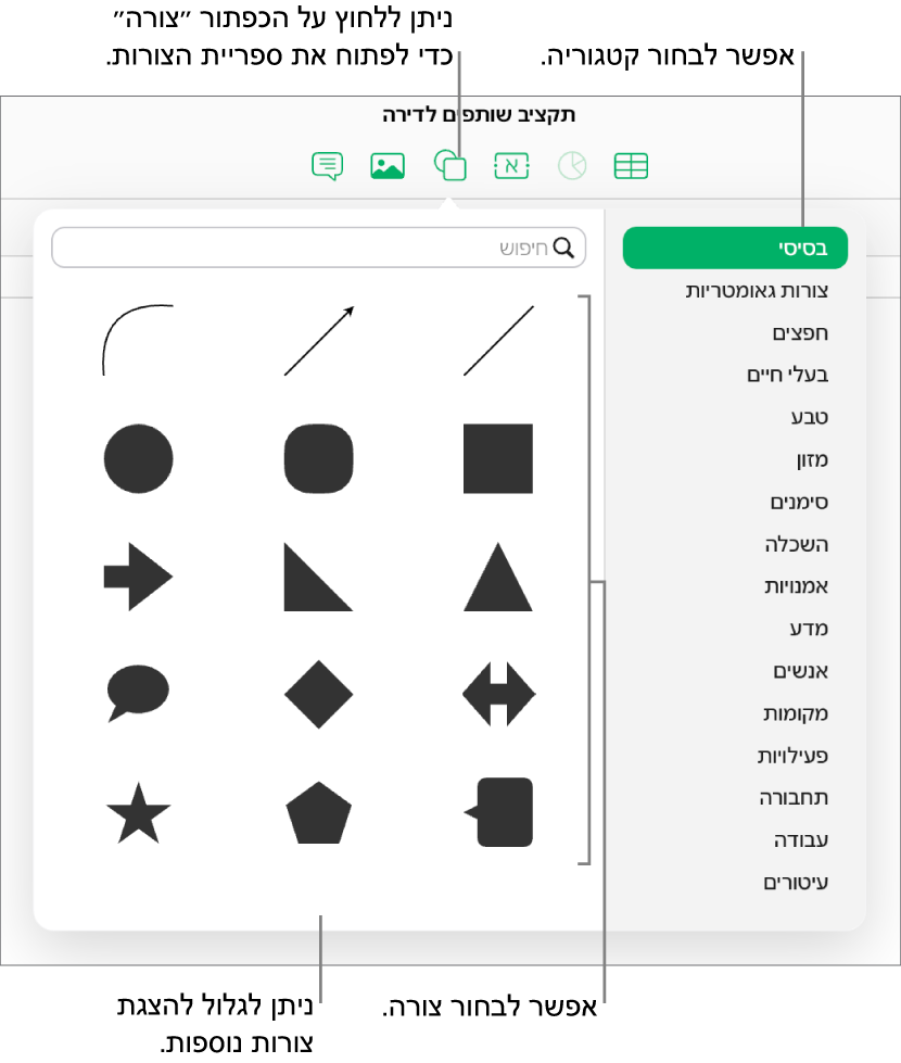 ספריית הצורות נפתחת מתחת לכפתור הצורות שבסרגל הכלים. הקטגוריה ״בסיסי״ מסומנת לבחירה מצד ימין וכמה צורות נפוצות (כולל עיגולים, ריבועים וקווים) מוצגות מצד שמאל.