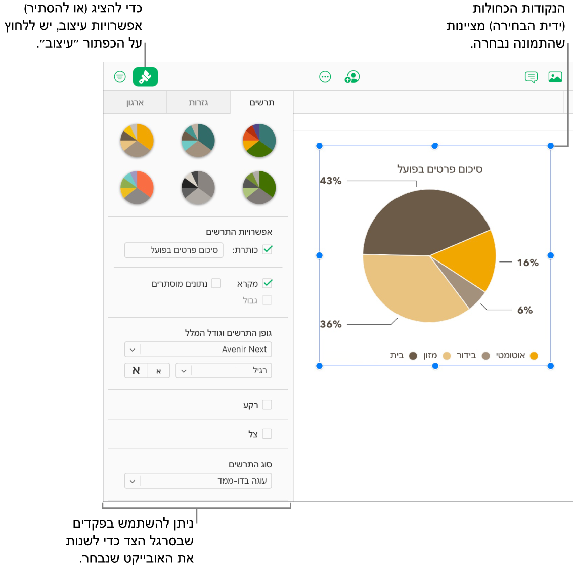 נבחר תרשים בגיליון עבודה ופקדים המשמשים לשינוי המראה שלו (לדוגמה, תפריטים קופצים להגדרת סוג הגופן וגודל המלל) מופיעים בסרגל הצד משמאל.