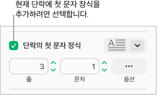 단락의 첫 문자 장식 체크박스가 선택되어 있고 팝업 메뉴가 그 오른쪽에 나타나며, 줄 높이, 문자 수 및 기타 옵션을 설정하는 제어기가 그 아래에 표시됩니다.