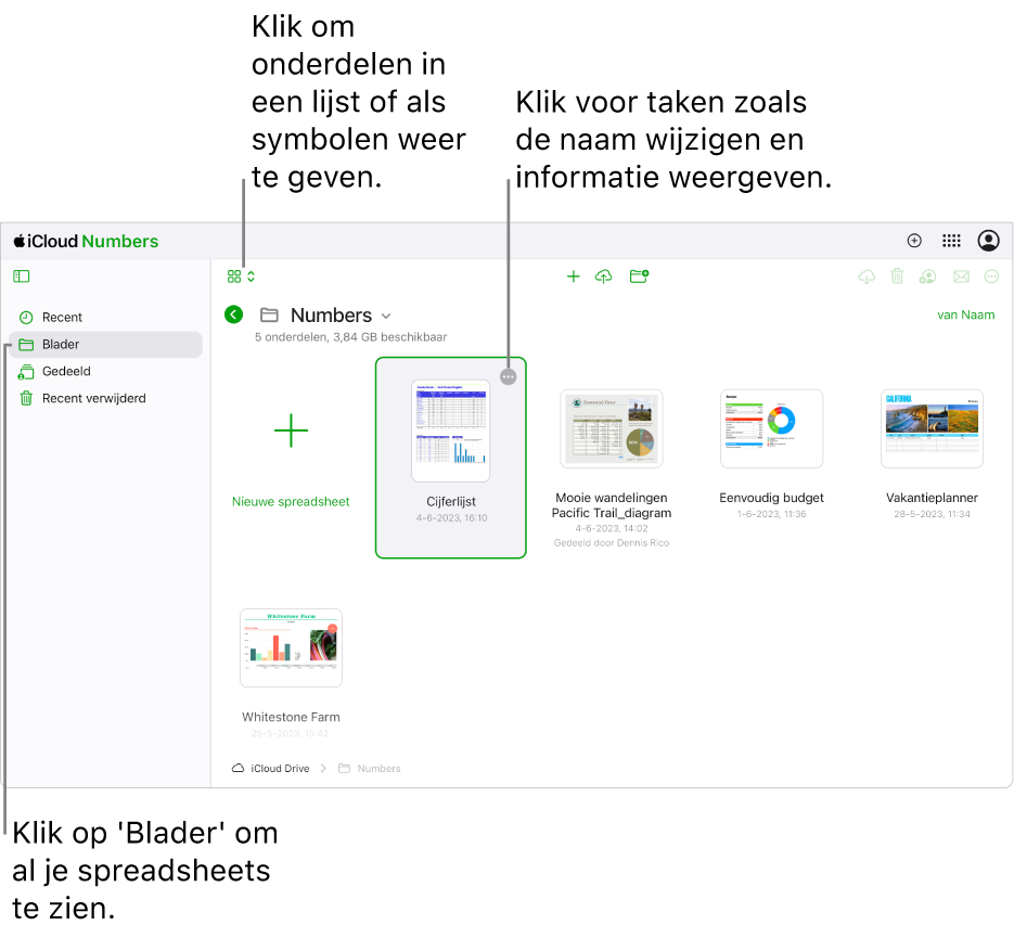 De documentmanager in bladerweergave. De knop 'Meer' (drie stippen) is zichtbaar in de rechterbovenhoek van de geselecteerde spreadsheet. Boven de spreadsheets staat links in de knoppenbalk een pop‑upmenu waarin je kunt kiezen of je onderdelen als symbolen of in een lijst wilt weergeven. In het midden van de knoppenbalk staan knoppen voor het aanmaken of uploaden van een spreadsheet en het aanmaken van een nieuwe map. Rechts in de knoppenbalk staan knoppen voor downloaden, samenwerken, e‑mailen en verwijderen.
