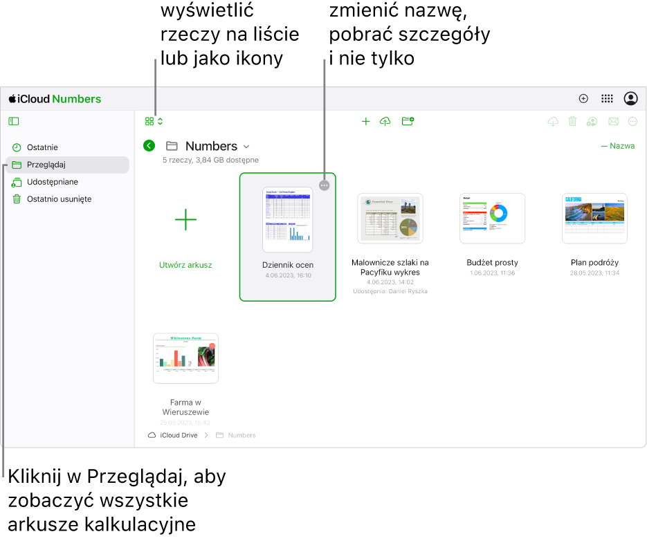 Menedżer dokumentów w widoku przeglądania, pokazujący dokumenty Numbers jako ikony w siatce. W prawym górnym rogu wybranego arkusza kalkulacyjnego widoczny jest przycisk Więcej (trzy kropki). Nad arkuszami, z lewej strony paska narzędzi, jest menu podręczne, z którego można wybrać wyświetlanie rzeczy jako ikony lub listę. Z prawej strony paska narzędzi są przyciski umożliwiające pobieranie, współpracę, wysyłanie wiadomości e-mail lub usuwanie pozycji.