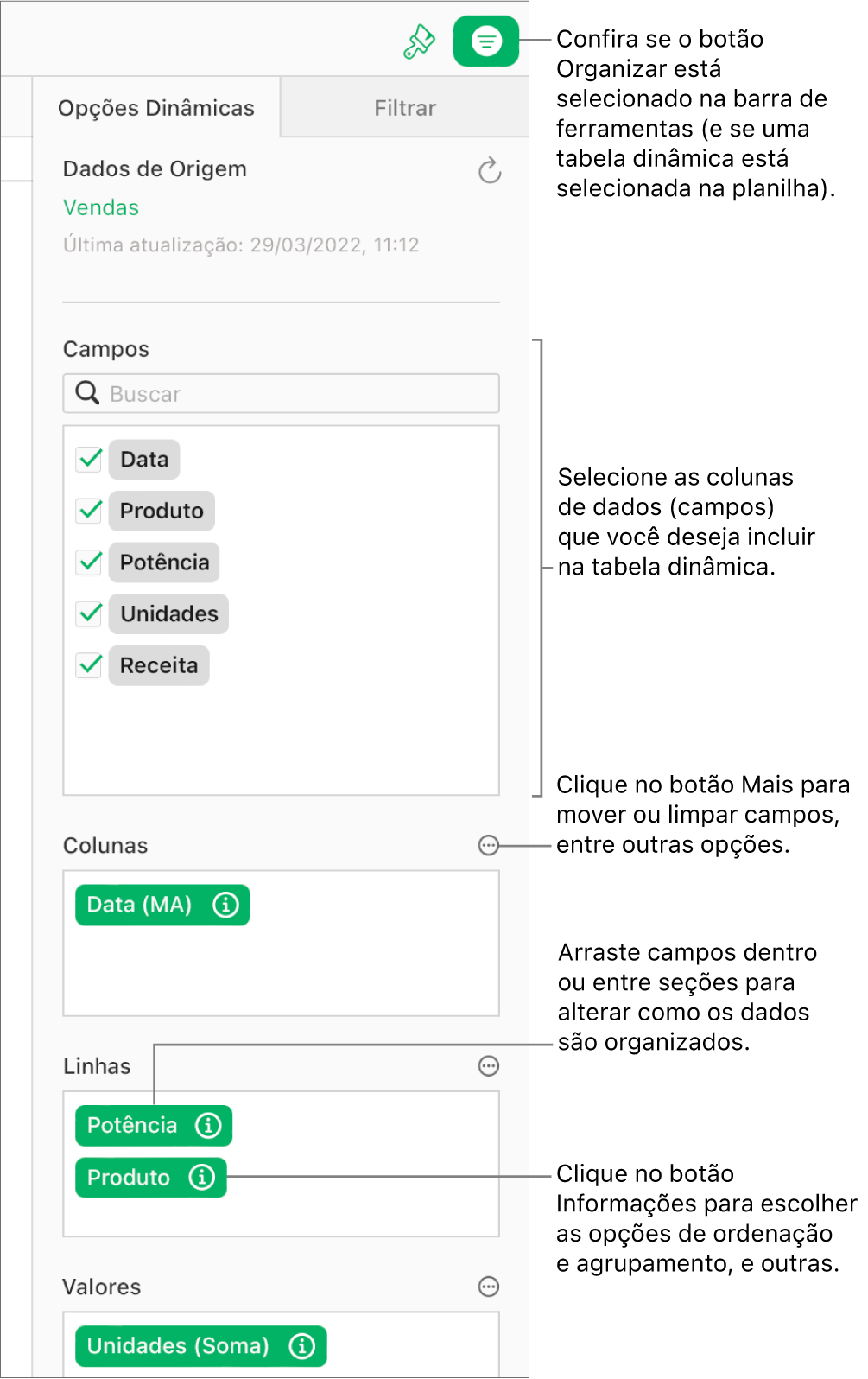 A aba Opções Dinâmicas na barra lateral Organizar, mostrando campos das seções Colunas, Linhas e Valores, bem como os botões Informações e Mais para editar os campos e atualizar a tabela dinâmica.