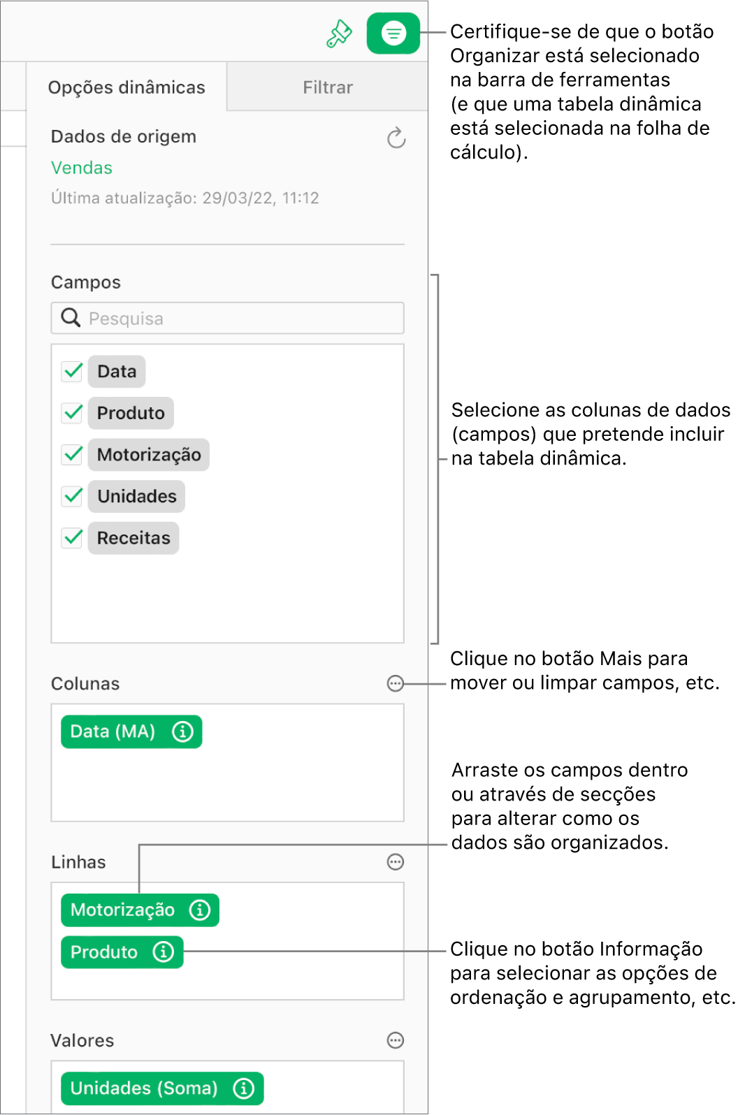 O separador “Opções dinâmicas” na barra lateral “Organizar” a mostrar campos nas secções “Colunas”, “Linhas” e “Valores”, bem como os botões "Informação” e “Mais” para editar os campos e atualizar a tabela dinâmica.