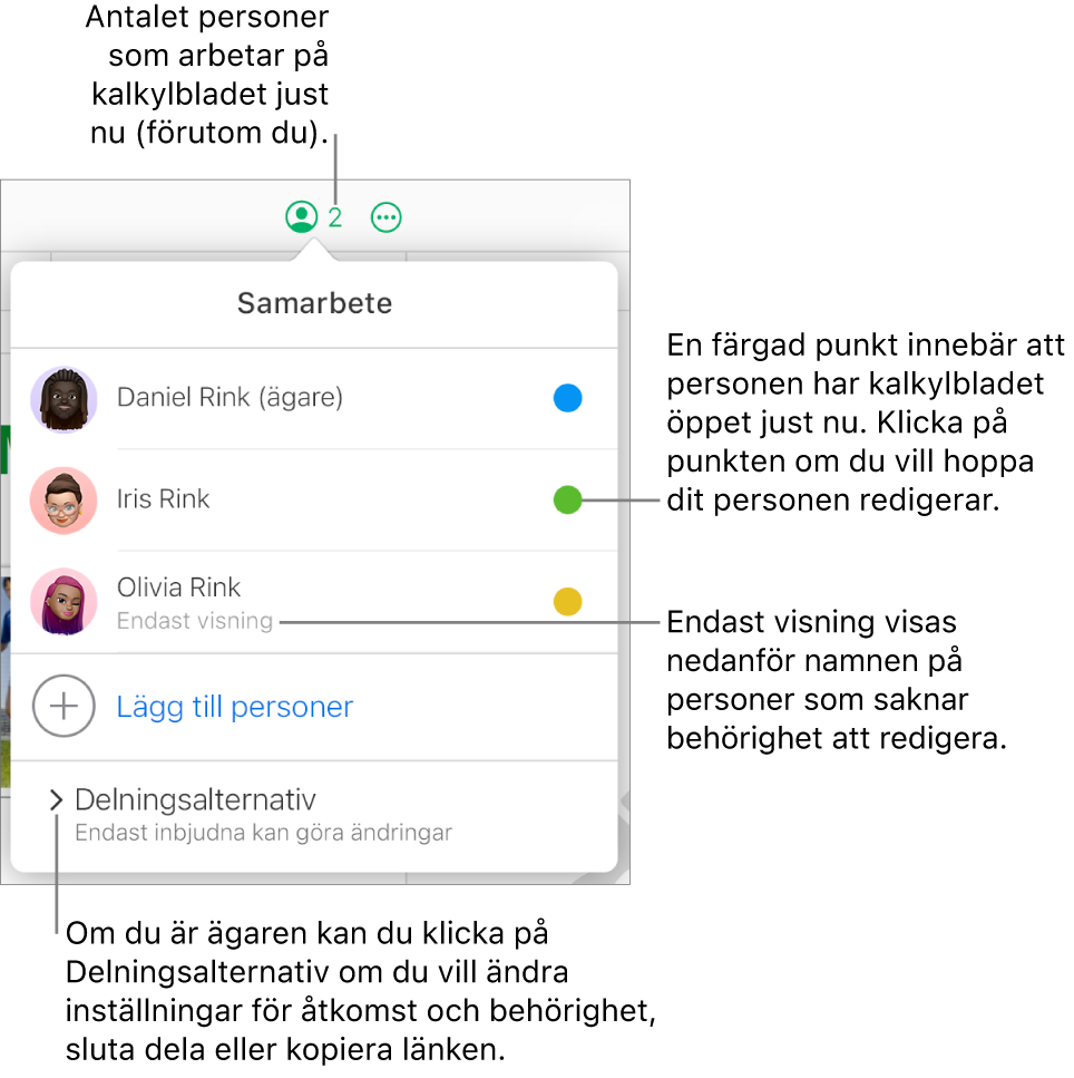 Menyn Samarbete är öppen med en lista med tre deltagare (en med åtkomstbehörigheten Endast visning), alternativet Lägg till personer och avsnittet Delningsalternativ där ägare kan ändra åtkomst- och behörighetsinställningar.