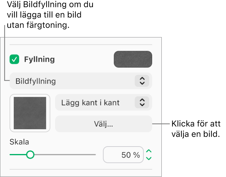 Kryssrutan Fyllning är markerad i sidofältet och Bildfyllning väljs i popupmenyn under kryssrutan. Reglage för att välja bilden, hur den fyller objektet och bildens skala visas under popupmenyn. En förhandsvisning av bildfyllningen visas i rutan (när en bild har valts).