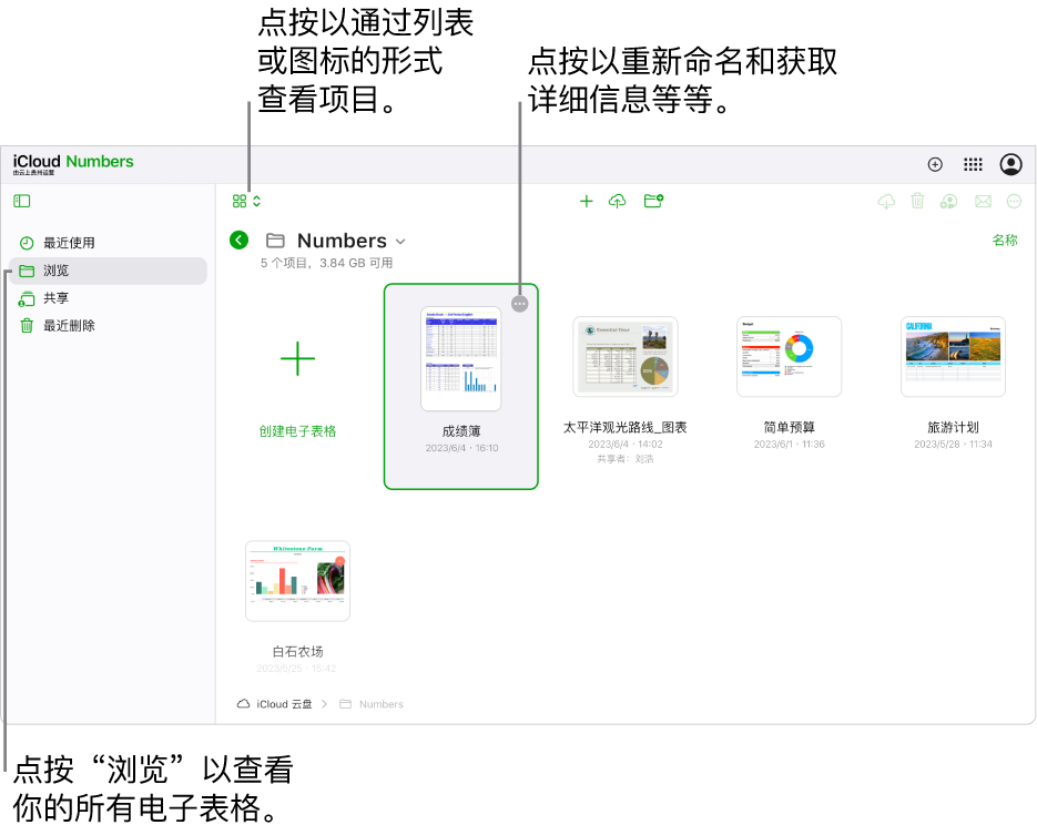 处于浏览视图的文稿管理器，在网格中以图标形式显示 Numbers 文稿。在选中的电子表格右上角可以看到“更多”按钮（三个圆点）。在电子表格上方，工具栏左侧的弹出式菜单可用于选取以将项目显示为图标或列表。工具栏右侧的按钮可用于下载、协作、发送电子邮件或删除。