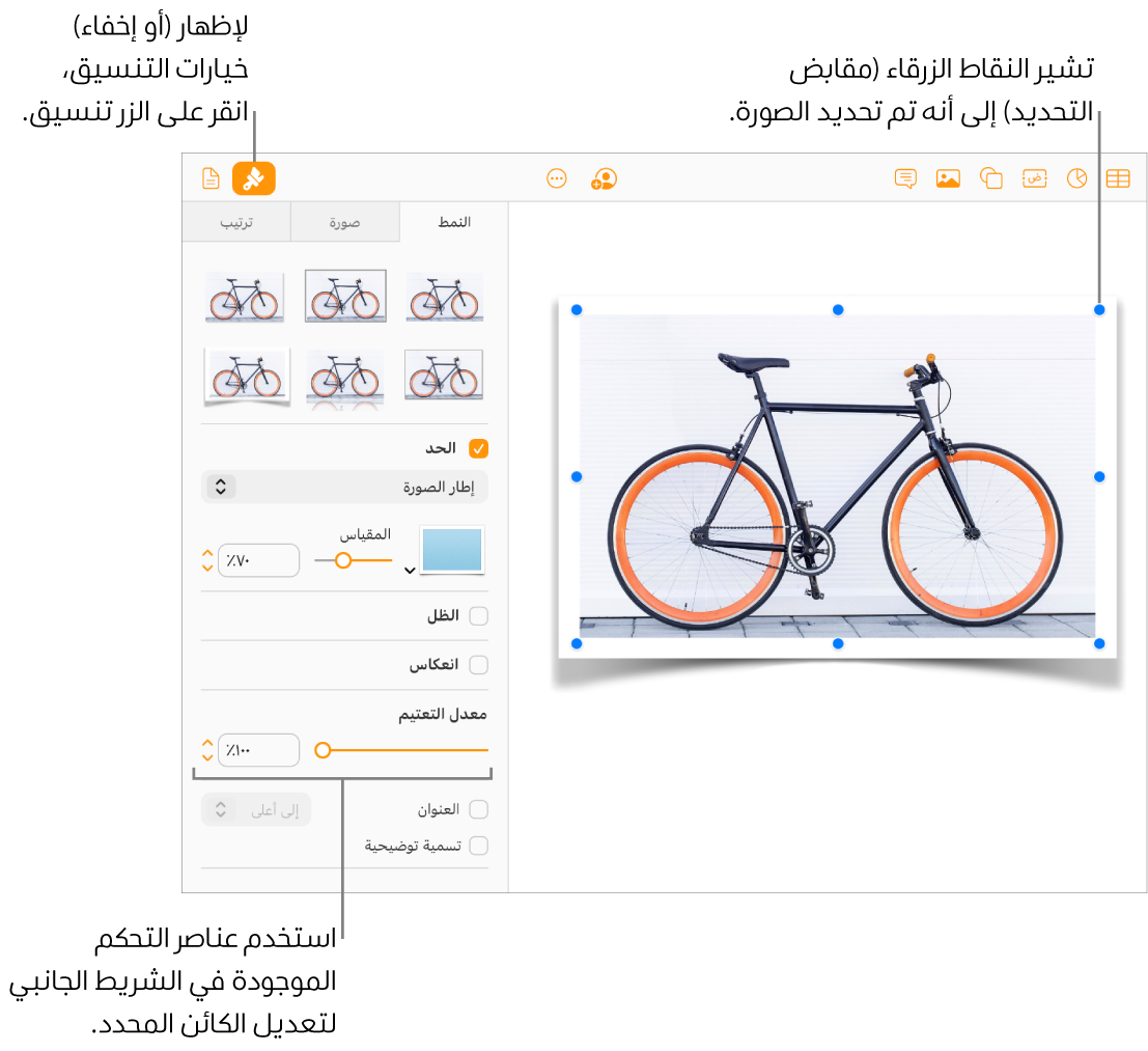 يتم تحديد صورة في مستند، وتظهر عناصر التحكم لتغيير مظهرها (على سبيل المثال ، خانتا الاختيار "حدود" و"الظل") في الشريط الجانبي على اليسار.