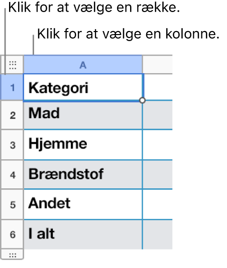 En valgt tabelrække med billedtekster til række- og kolonnemarkeringerne.