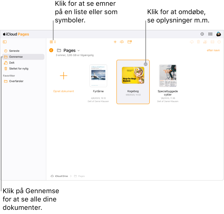 Dokumentadministrationen i oversigt til gennemsyn. Knappen Mere (tre prikker) vises i øverste højre hjørne af det valgte dokument. Over dokumenterne er der i venstre side af værktøjslinjen en lokalmenu, hvor du kan vælge at se emner som symboler eller på en liste, og i midten af værktøjslinjen er der knapper til at oprette eller overføre et dokument og oprette en ny mappe. I højre side af værktøjslinjen er der knapper til at hente, samarbejde, e-maile eller slette.