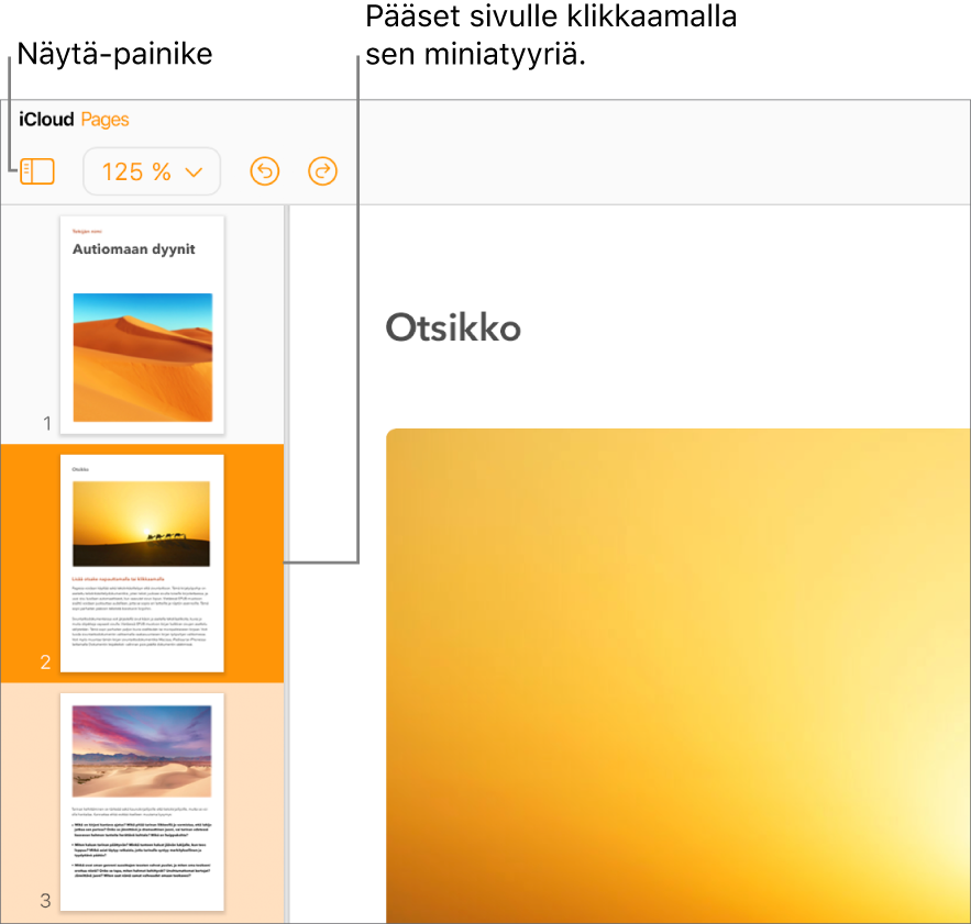 Näytön vasemmassa reunassa näkyy Sivut miniatyyrinä -näkymä, jossa on valittuna sivu. Näytä-painike on työkalurivillä miniatyyrien yläpuolella.