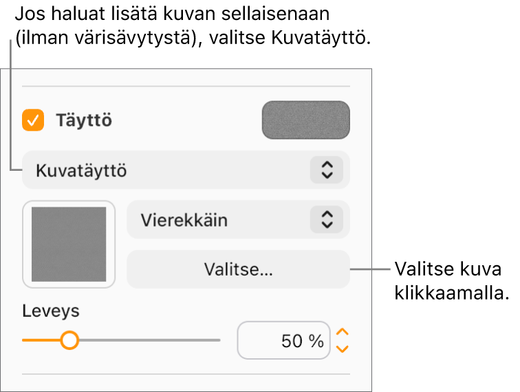 Sivupalkissa on valittuna Täyttö-valintaneliö, jonka alla olevassa ponnahdusvalikossa on valittuna Kuvatäyttö. Toiminnot kuvan valitsemista, sen objektin täyttötavan valintaa ja kuvan skaalaamista varten ovat ponnahdusvalikon alla. Väritäytön esikatselu näkyy neliössä (kun kuva on valittu).
