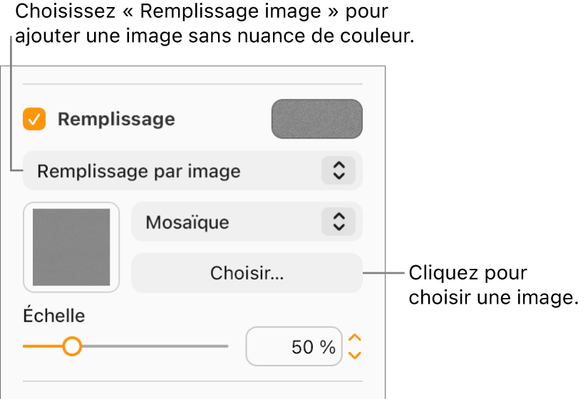 La case Remplissage est cochée dans la barre latérale et l’option Remplissage image est sélectionnée dans le menu local situé sous la case à cocher. Les commandes permettant de choisir l’image, la façon dont elle remplit l’objet et son échelle s’affichent sous le menu local. Un aperçu du remplissage de l’image apparaît dans un carré une fois qu’une image est choisie.