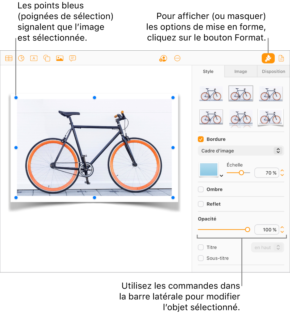Une image du document est sélectionnée et les commandes disponibles pour modifier son aspect (par exemple la bordure et les ombres) s’affichent dans la barre latérale à droite.