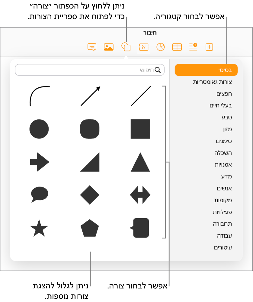 ספריית הצורות נפתחת מתחת לכפתור הצורות שבסרגל הכלים. הקטגוריה ״בסיסי״ מסומנת לבחירה מצד ימין וכמה צורות נפוצות (כולל עיגולים, ריבועים וקווים) מוצגות מצד שמאל.