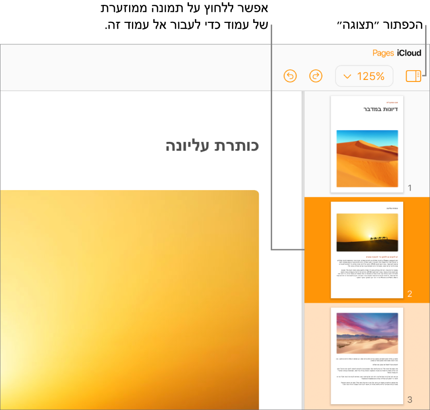 תצוגת ״עמודים כתמונות ממוזערות״ בצד שמאל של המסך עם בחירה בעמוד. הלחצן ״תצוגה״ נמצא בסרגל הכלים מעל התמונות הממוזערות.