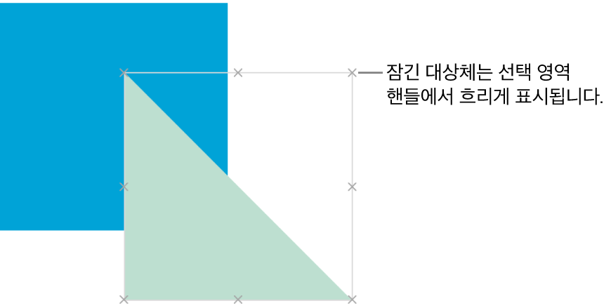 선택 영역 핸들이 비활성화된 잠긴 대상체.