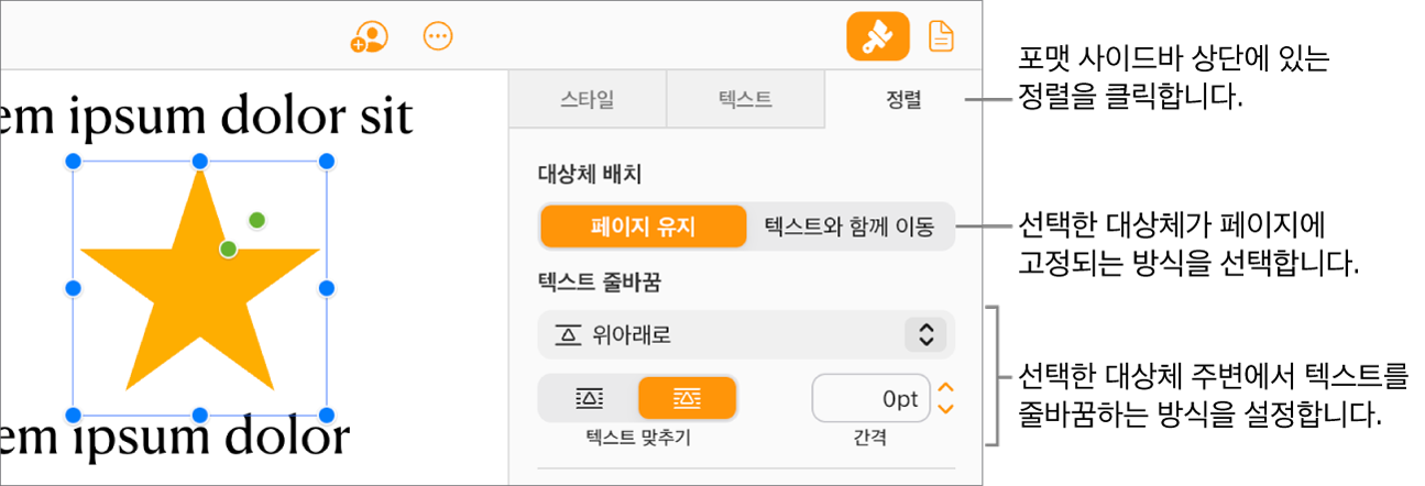 문서 본문에서 이미지가 선택되어 있으며, 포맷 사이드바의 정렬 탭은 대상체가 대상체 위 및 아래의 텍스트 둘러싸기와 함께 페이지 유지로 설정되어 있음을 보여 줍니다.