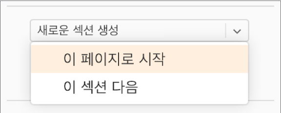 ‘새로운 섹션 생성’ 팝업 메뉴가 열리고, ‘이 페이지로 시작’이 선택됩니다.