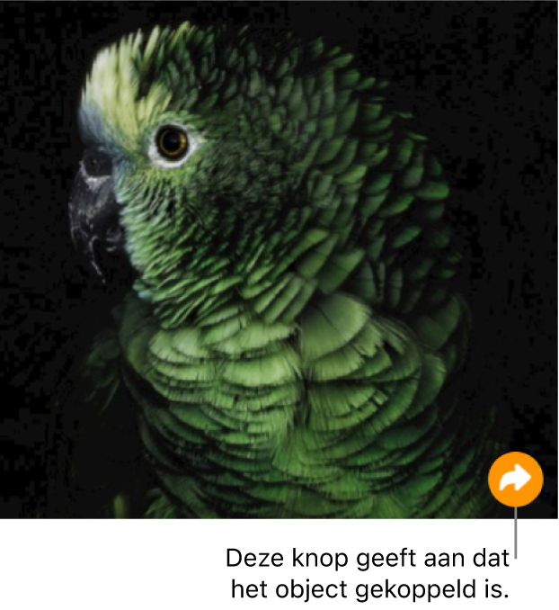 Een afbeelding met rechtsonder een knop met een link (een kromme pijl).