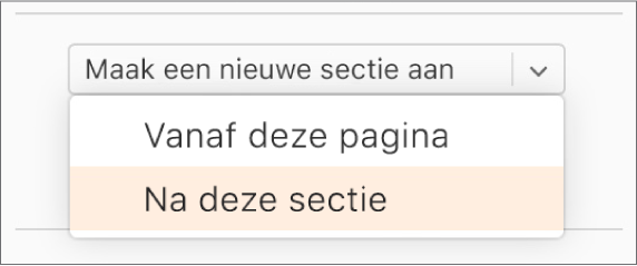 Het pop‑upmenu 'Maak een nieuwe sectie aan' is open en 'Na deze sectie' is geselecteerd.